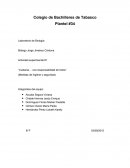 Plantel #34 Laboratorio de Biología