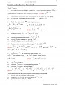 Fisica