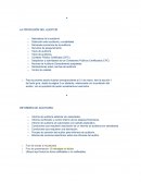 Profesion del auditor