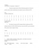Transcripción - Traducción "c"