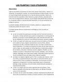 Planificacion Plantas Nivel Inicial