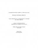 Actividad 2- identificación de problemas ambientales locales