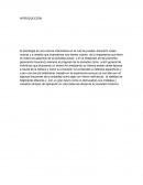 Ensayo psicología cientifica