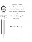 Ensayo Procesos de Adaptacion a Preescolar