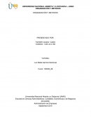 Organizacion y metodos