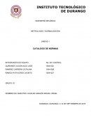 METROLOGÍA Y NORMALIZACIÓN UNIDAD 1