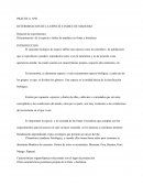 PRÁCTICA Nº01 DETERMINACION DE LA ESPECIE E INDICE DE MADUREZ