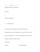 “recuperación del ecosistema marino a través del manejo sostenible de macroalgas pardas (aracanto) y repoblamiento, en el sector de Pueblo Viejo