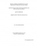 El miedo a meternos en problemas si intervenimos en su vida personal.