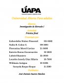 Investigación de Mercado Práctica final