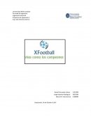 Casos de cobertura riesgo cambiario