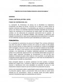 Problema quinua puno