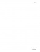 Análisis de casos sobre la importancia de poseer valores y principios dentro de las empresas.