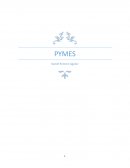 Historia de las PyMEs Origen y Evolución