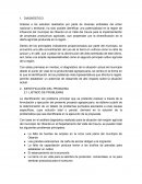 Las grandes Generalidades para un cultivo de guayaba