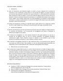 FISIOLOGIA ANIMAL: INFORME 2