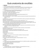 Guía anatomía encefalo