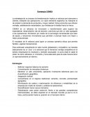 Estrategia CEMEX. Proceso de transformación