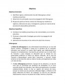 Chikungunya