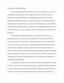 RESUMEN: ACERCA DEL NIÑO PROBLEMA