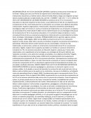 TIC's sector educativo