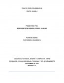 Ensayo Visión Colombia 2019