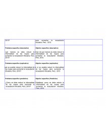 EJEMPLO MATRIZ DE CONSISTENCIA. Página 2