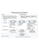 ORGANIZADOR DIDÁCTICO DE APRENDIZAJE