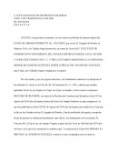 Recurso de Revisión Vs. Sent. de Amp. ante Juzg de Dtto.