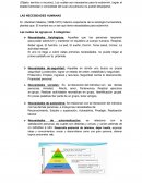 RESUMEN NECESIDADES HUMANAS