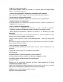 ¿A qué se le llama senado consulto?