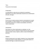 Producción de Germinados