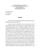 INFORME COROZAL DE LAS TABLAS