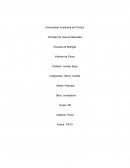 Caída libre. Mediciones de la aceleración gravitatoria