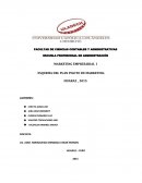 ESQUEMA DEL PLAN PILOTO DE MARKETING