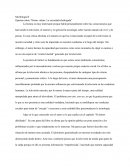 Opinión sobre homo videns