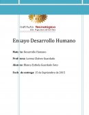 Desarrollo Humano
