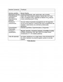 Ficha tecnica de un producto