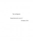 Plan de Negocios “Granja Porcina S.A. de C.V.”
