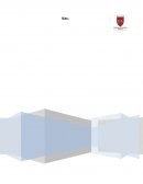 PAUTA FONOUDIOLOGICA