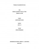 TRABAJO COLABORATIVO AGROCLIMATOLOGÍA