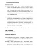 Plan de negocio cacao y cafe