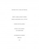 Introducción ing quimica udea