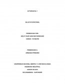 Actividad de reconocimiento salud ocupacional