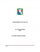 CLASES SOCIALES . HISTORIA Y EVOLUCION DE LA CLASE SOCIAL