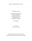 ENTREGA Y REALIMENTACION DE LA FASE 1 ELECTRONICA ANALOGA