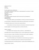 Laboratorio de Física Práctica 5: Ley de ohm