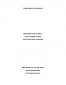 Condiciones de seguridad SALUD OCUPACIONAL FACTORES DE RIESGO