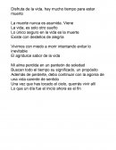 Frases de la vida y muerte