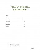 Proyecto integral para la creacion de una granja cunicola sustentable. Resumen del proyecto